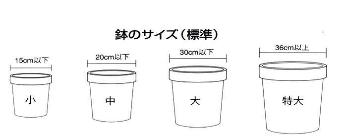 鉢のサイズ（標準）小＝15cm以下、中＝20cm以下、大＝30cm以下、特大＝30cm以上